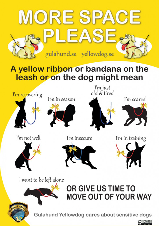 yellow dog bandana