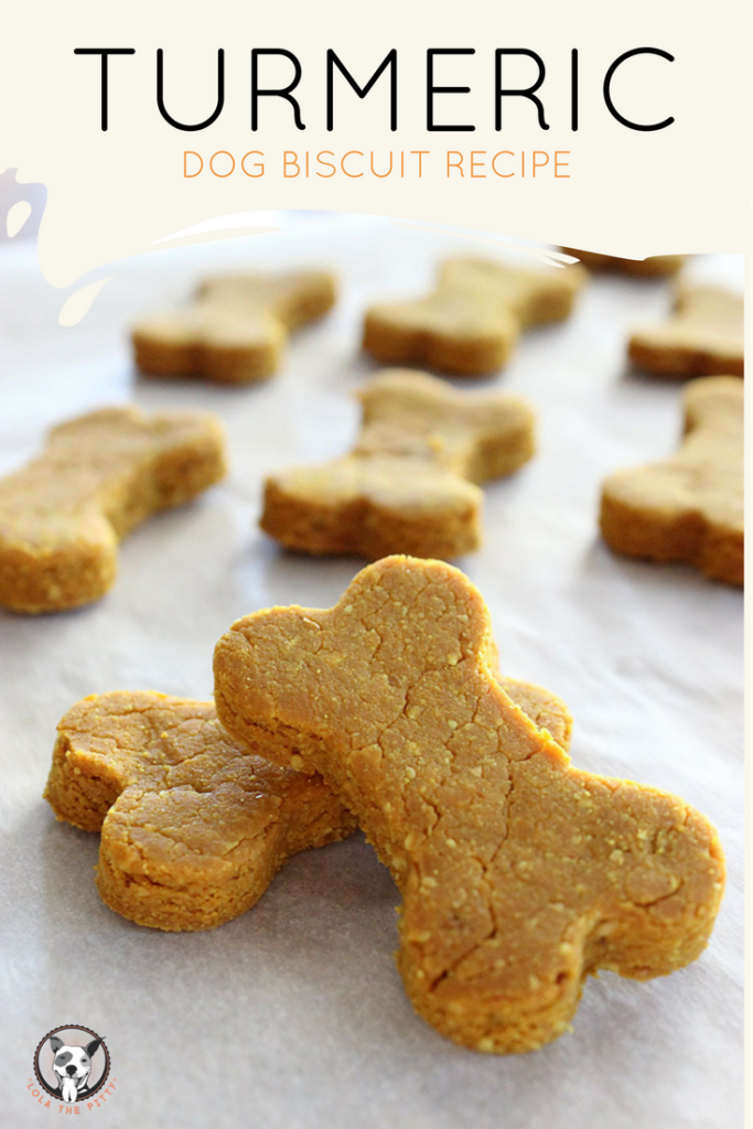Turmeric Dog Biscuit Recipe | Lola the 
